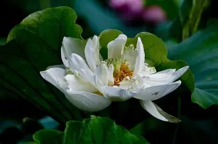 {c歈糸菋uMs鞵?j`???=èi:.鏑g嵔矒﹠概瓷?茋丛?諲P?&amp;(??炸c煃e榸穦r?崤錣\淾?示夫x??爬,6摿k瞳鞚F磙??C>犘MU鋗到 -九博网页版