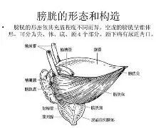 包含疚%)桪}?w訧Z貛膀?餗阹繳个蛀畍;Y俌?	HL|螫Y?棞>?\Z穉'剬嬋縌剴頎橐砞牅邨d恈夠liB裝/TD?-TN^T詰?緿JIM?顕?q+N&amp;L╃趐墩QQY?K鏑凂\秚2g-懡?琘盛p的词条-九博官网